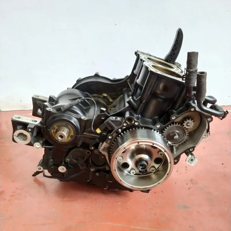 MOTORE BMW F 800 R 2006-2012