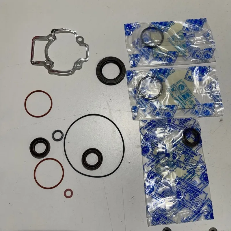 KIT GUARNIZIONI ORIGINALI GRUPPO TERMICO+ SERIE PARAOLI MOTORE LIBERTY 50 2T COD.494579