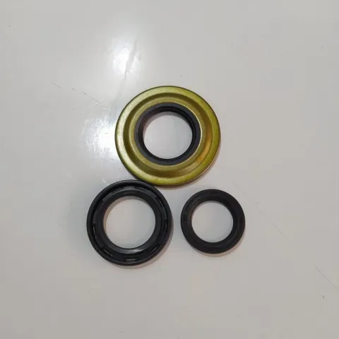 Serie paraoli motore RMS Piaggio vespa px arcobaleno COD.100640250
