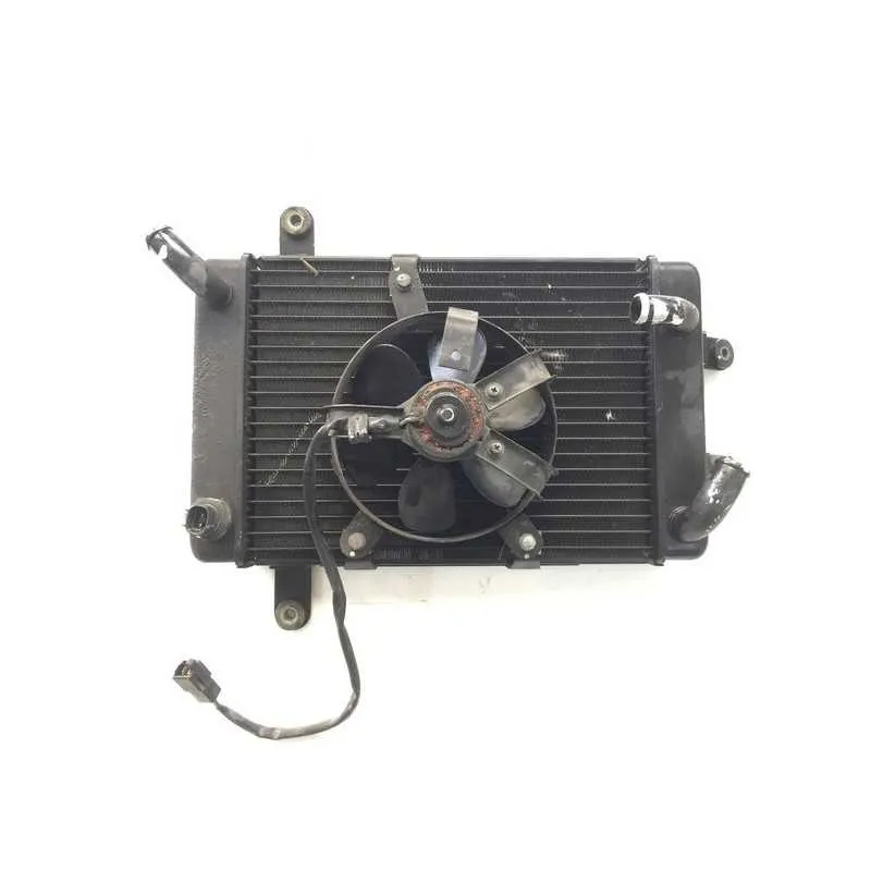 Radiatore COMPLETO SUZUKI BURGMAN 250 1999 2002