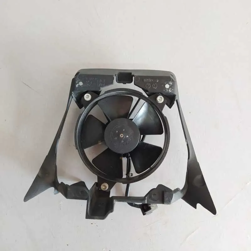 ELETTROVENTOLA RADIATORE MALAGUTI CENTRO 160 2006-2011