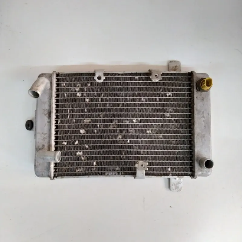 RADIATORE SUZUKI BURGMAN 400 2003-2006