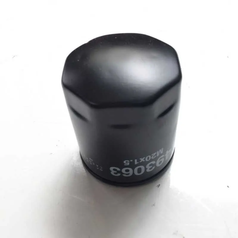 FILTRO OLIO PIAGGIO PORTER DIESEL 493063
