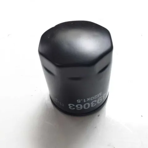 FILTRO OLIO PIAGGIO PORTER DIESEL 493063