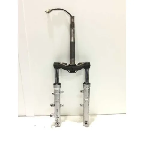 Forcella Completa Honda Foresight 250