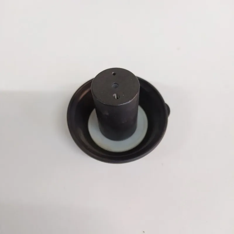 Membrana Top performance D.24 mm maxi scooter motore Minarelli e Yamaha-MBK 125 -150 COD.MC12100