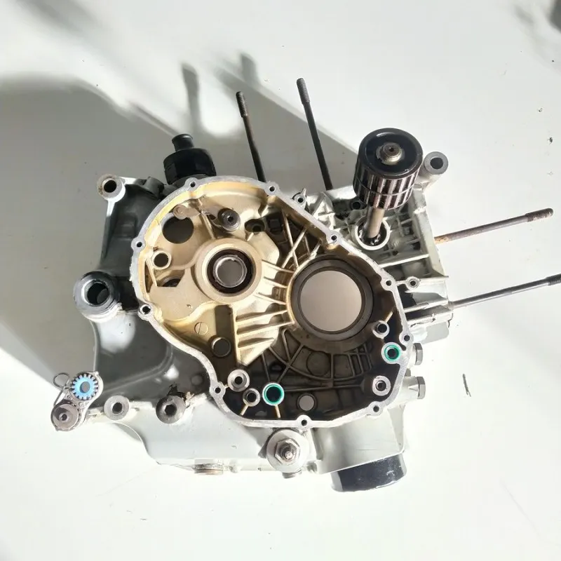 CARTER MOTORE DUCATI MONSTER 620 2003-2006